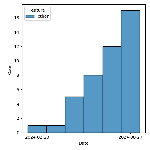 issues-by-type-2024-09-03.png