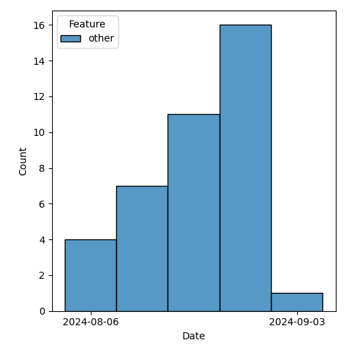 issues-by-type-2024-09-10.png