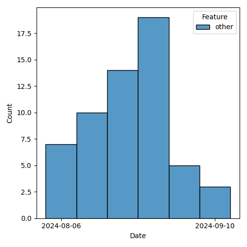 issues-by-type-2024-09-24.png